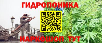 эйфоретик Краснодар