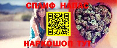 эйфоретик Краснодар