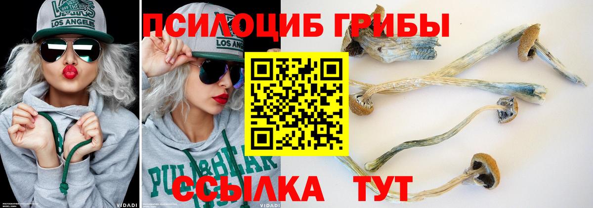 Галлюциногенные грибы MAGIC MUSHROOMS Клинцы