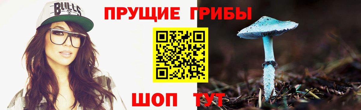 Галлюциногенные грибы мицелий  Вход с VPN  Клинцы 